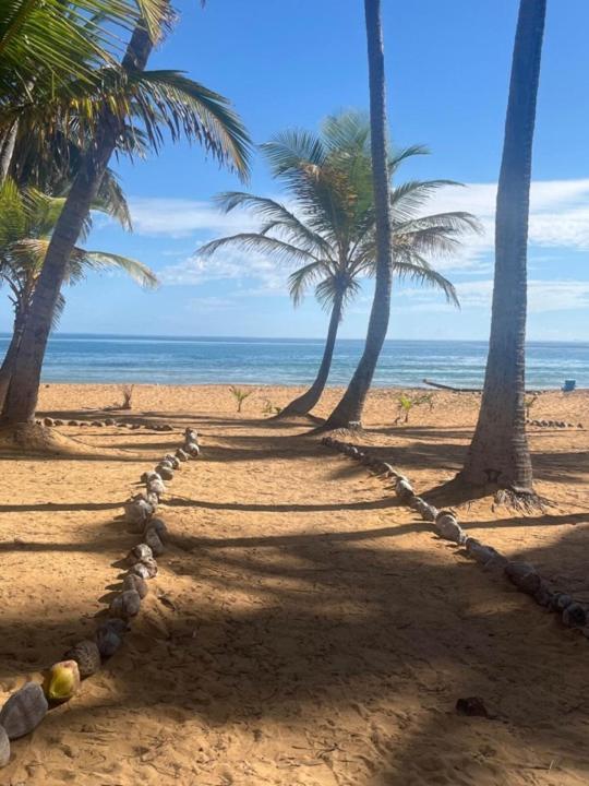 Oceanview Apartment Steps To The Beach Luquillo Buitenkant foto