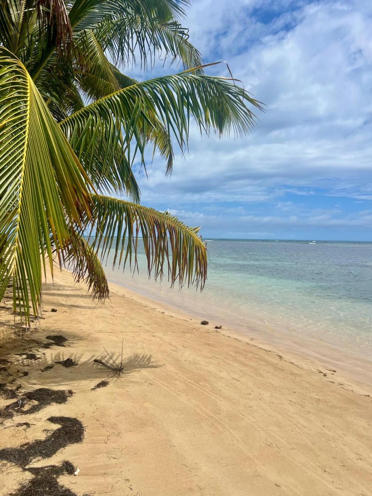 Oceanview Apartment Steps To The Beach Luquillo Buitenkant foto